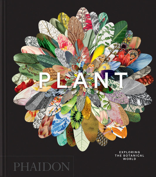 Book cover for Plant: Exploring the Botanical World
