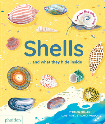 Book cover for Shells... and What They Hide Inside: A Lift-The-Flap Adventure