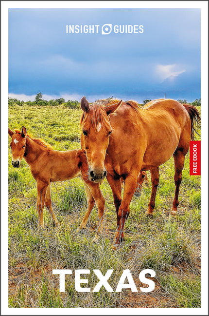 Book cover for Insight Guides Texas: Travel Guide with eBook