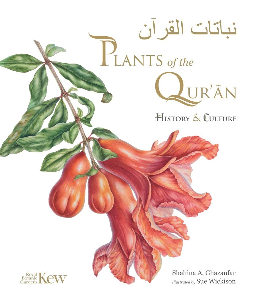 Book cover for Plants of the Quran: History & Culture