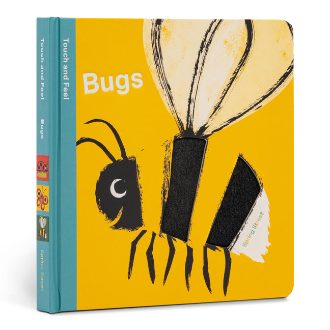 Book cover for Spring Street Touch and Feel: Bugs