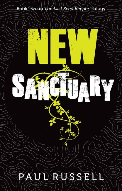 Book cover for New Sanctuary