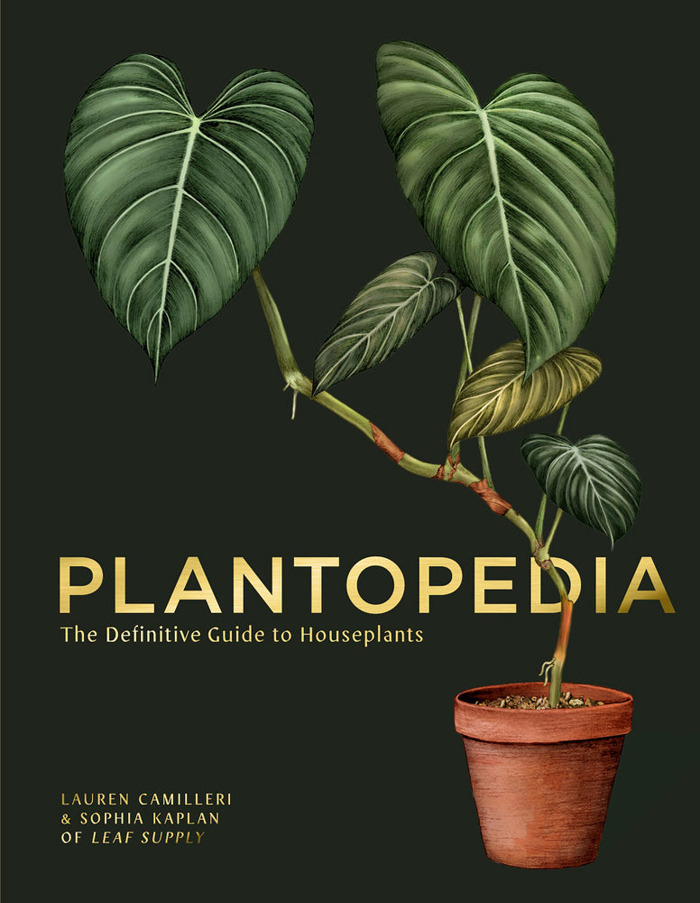 Book cover for Plantopedia: The Definitive Guide to Houseplants