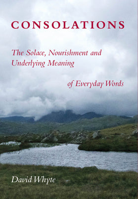 Book cover for Consolations: The Solace, Nourishment and Underlying Meaning of Everyday Words