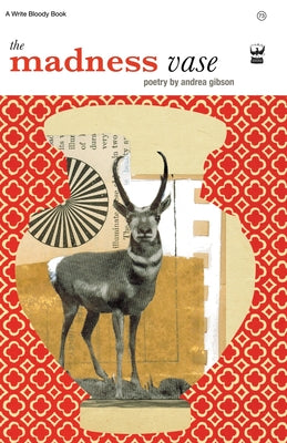 Book cover for The Madness Vase