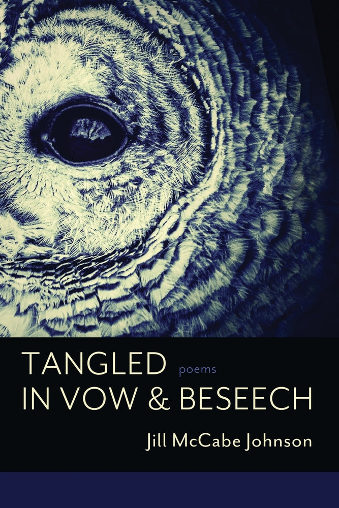Book cover for Tangled in Vow & Beseech