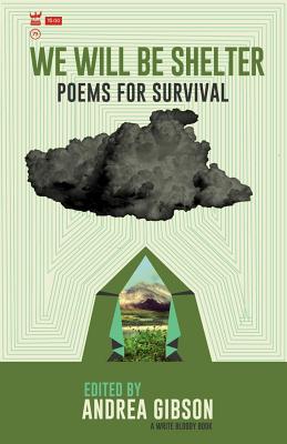 Book cover for We Will Be Shelter