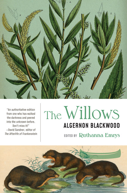 Book cover for Willows