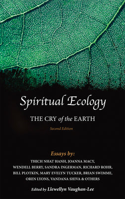 Book cover for Spiritual Ecology: The Cry of the Earth