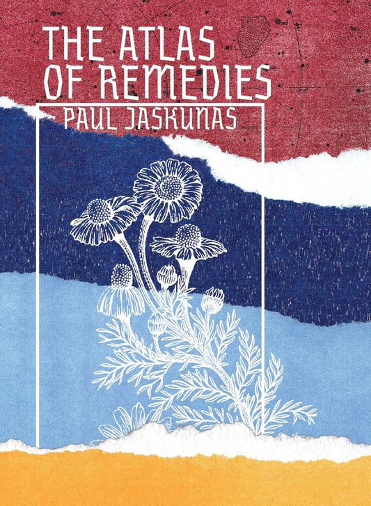 Book cover for The Atlas of Remedies