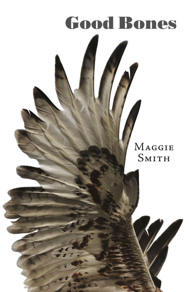 Book cover for Good Bones