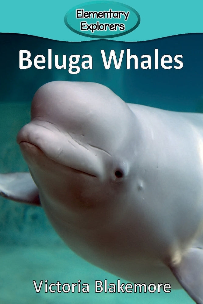 Book cover for Beluga Whales