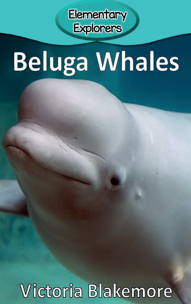 Book cover for Beluga Whales