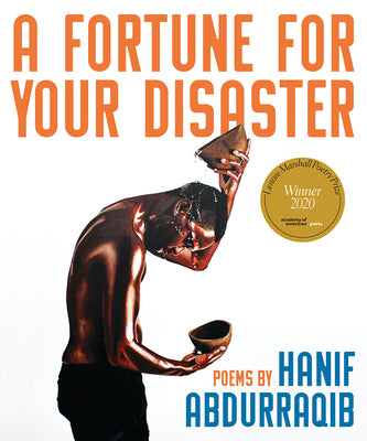 Book cover for A Fortune for Your Disaster