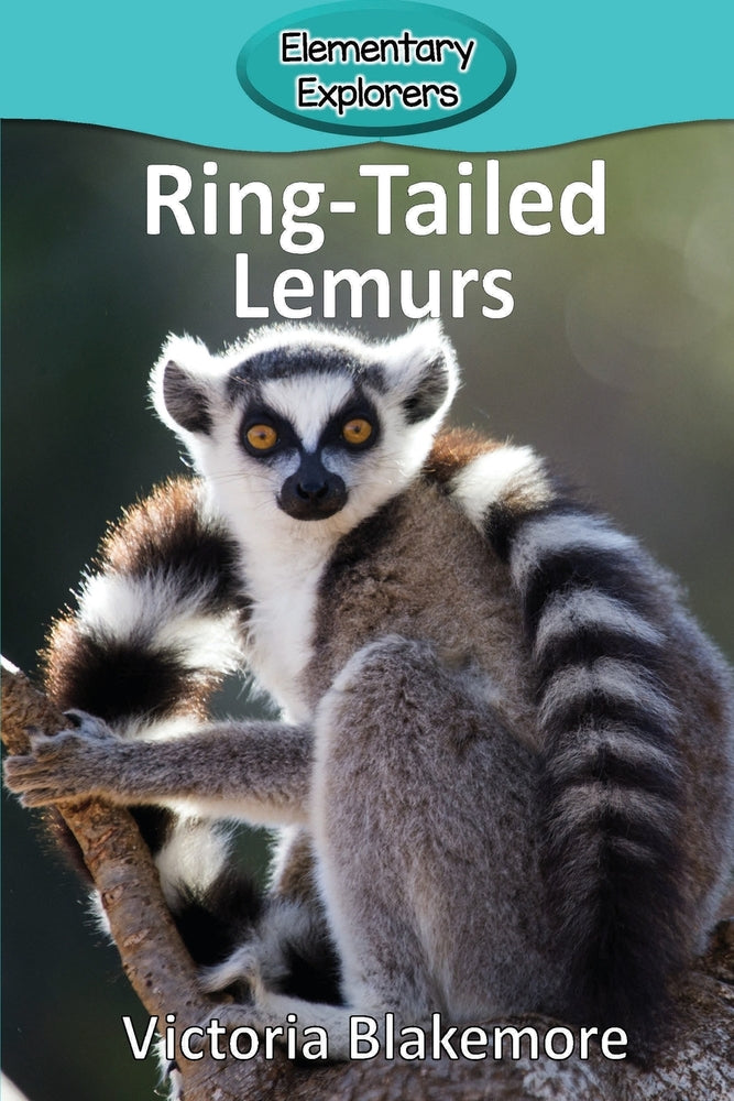 Book cover for Ring-Tailed Lemurs
