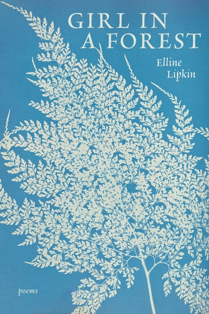 Book cover for Girl in a Forest