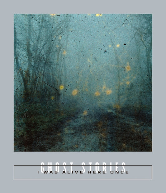 Book cover for I Was Alive Here Once: Ghost Stories