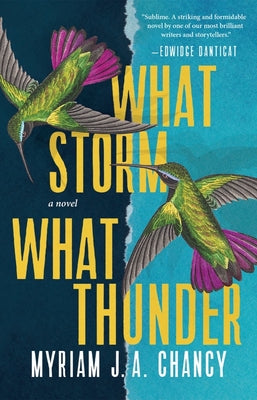 Book cover for What Storm, What Thunder