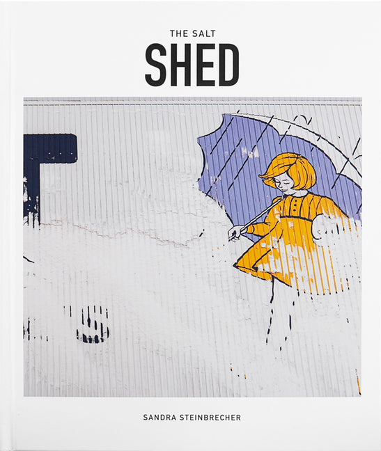 Book cover for Salt Shed: The Transformation of a Chicago Landmark
