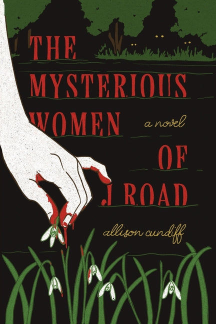 Book cover for Mysterious Women of J Road