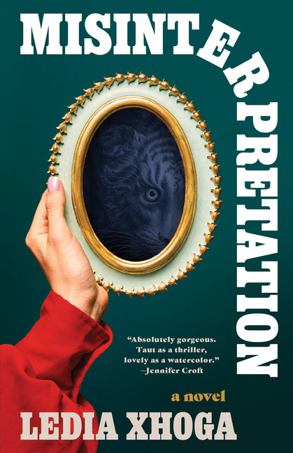 Book cover for Misinterpretation
