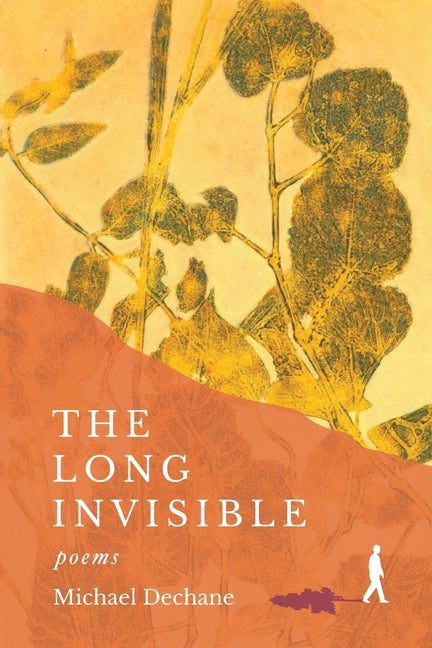 Book cover for Long Invisible