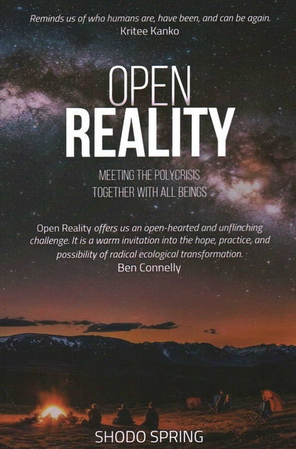 Book cover for Open Reality