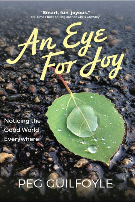 Book cover for Eye for Joy: Noticing the Good World Everywhere