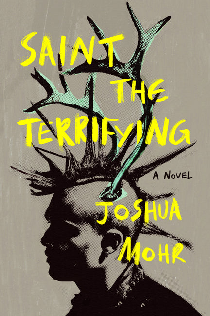 Book cover for Saint the Terrifying