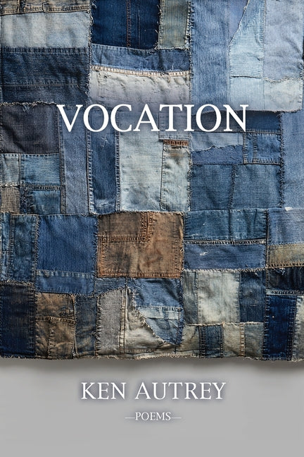 Book cover for Vocation