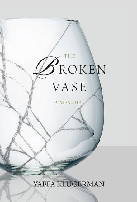 Book cover for Broken Vase