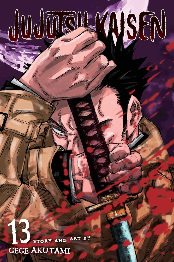 Book cover for Jujutsu Kaisen, Vol. 13