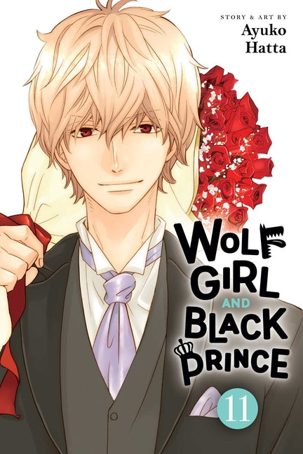 Book cover for Wolf Girl and Black Prince, Vol. 11