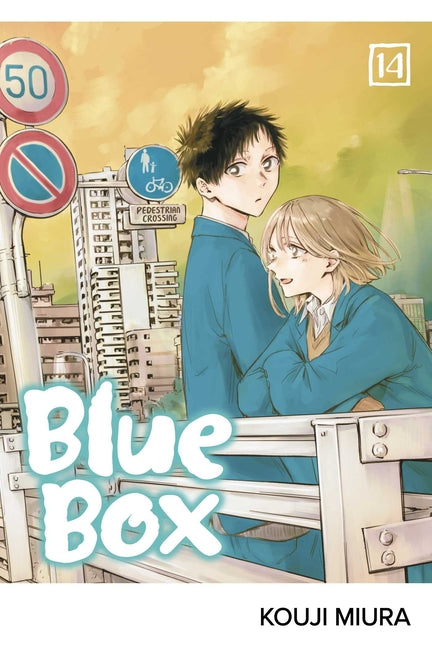 Book cover for Blue Box, Vol. 14
