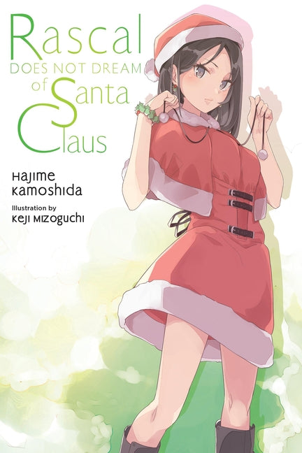 Book cover for Rascal Does Not Dream of Santa Claus (Light Novel)