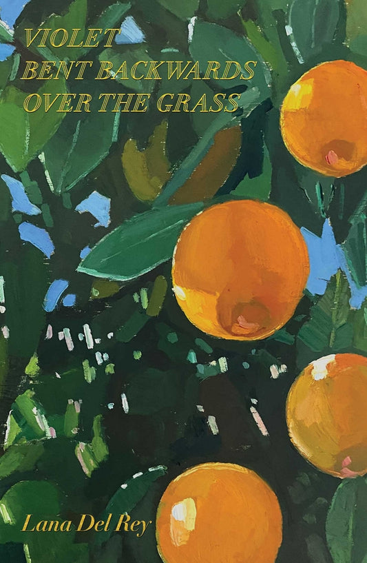 Book cover for Violet Bent Backwards Over the Grass