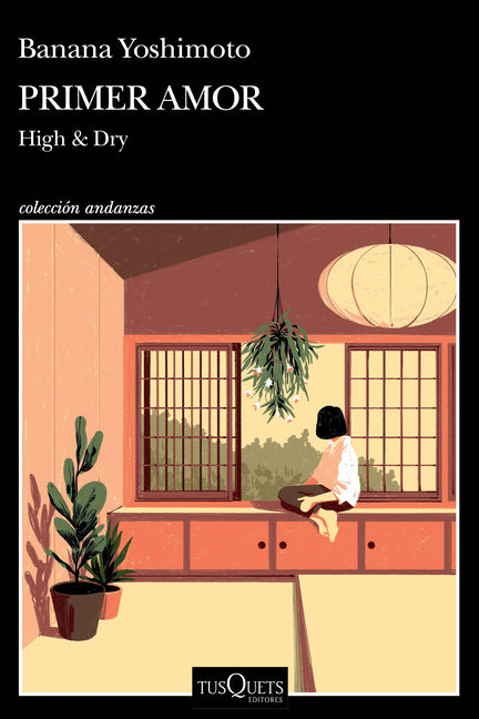 Book cover for Primer Amor (Novela) / High and Dry (a Novel)