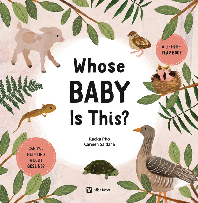 Book cover for Whose Baby Is This?