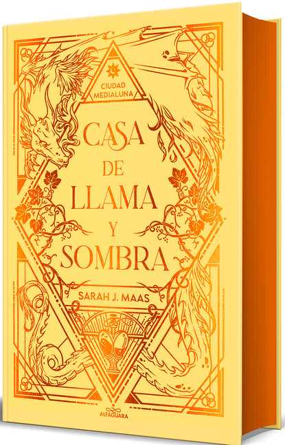 Book cover for Casa de Llama Y Sombra (Edición Especial Limitada Cantos Pintados) / House O F Flame and Shadow (Special Limited Edition Srayed Edges) (Special)