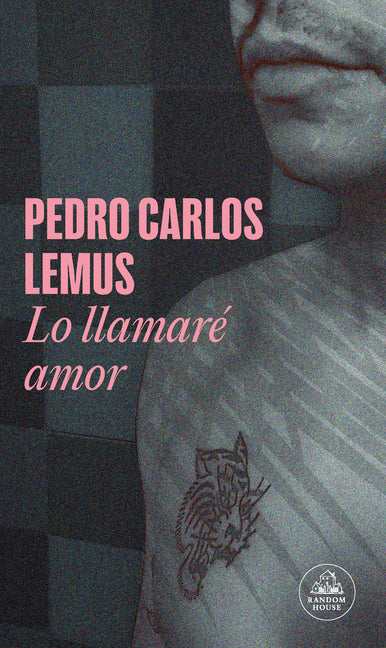 Book cover for Lo Llamaré Amor / I'll Call It Love