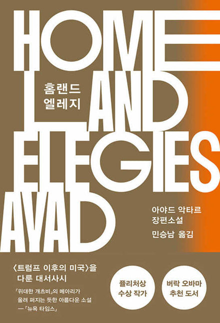 Book cover for Homeland Elegies