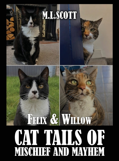 Book cover for Felix & Willow cat tails of mischief and mayhem
