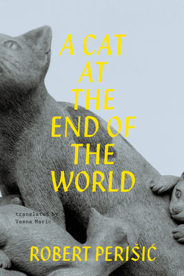 Book cover for A Cat at the End of the World