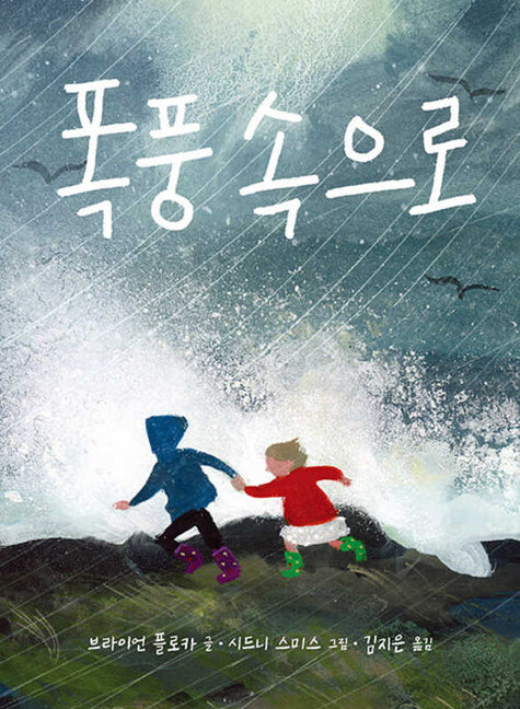 Book cover for Island Storm