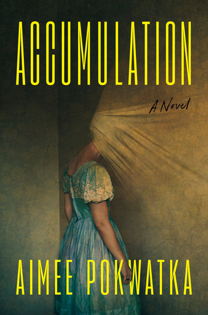 Book cover for Accumulation