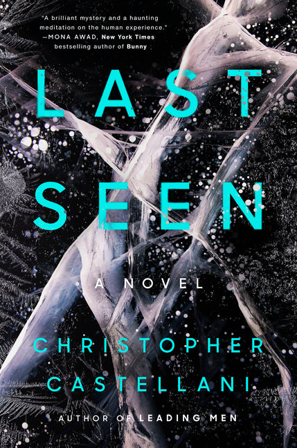 Book cover for Last Seen