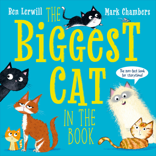 Book cover for Biggest Cat in the Book