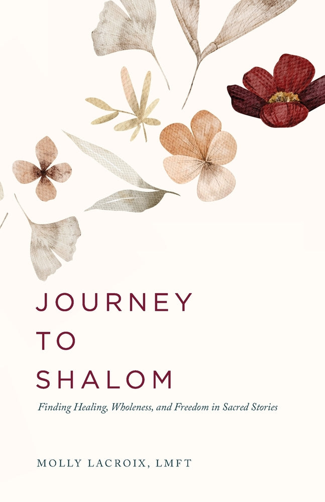 Book cover for Journey to Shalom: Finding Healing, Wholeness, and Freedom In Sacred Stories