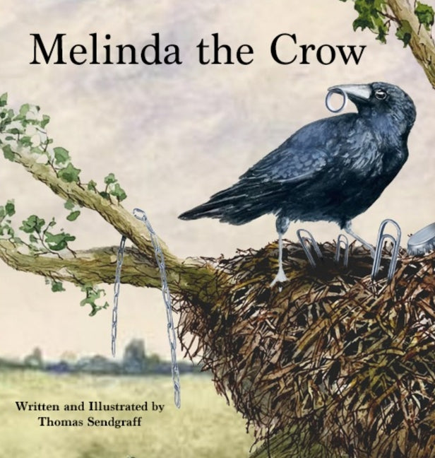 Book cover for Melinda the Crow