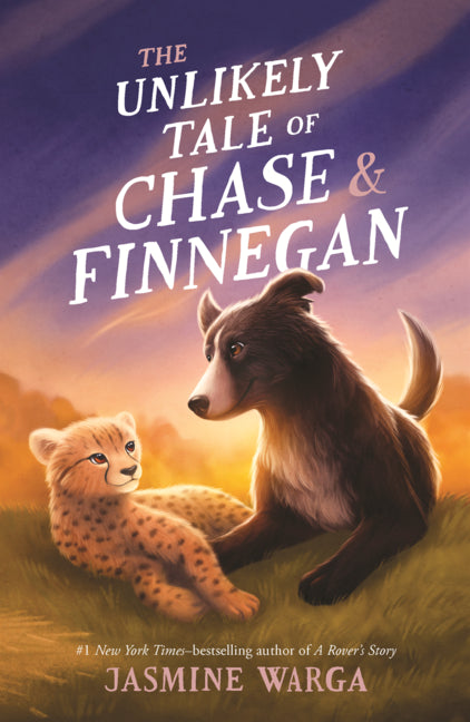 Book cover for Unlikely Tale of Chase and Finnegan